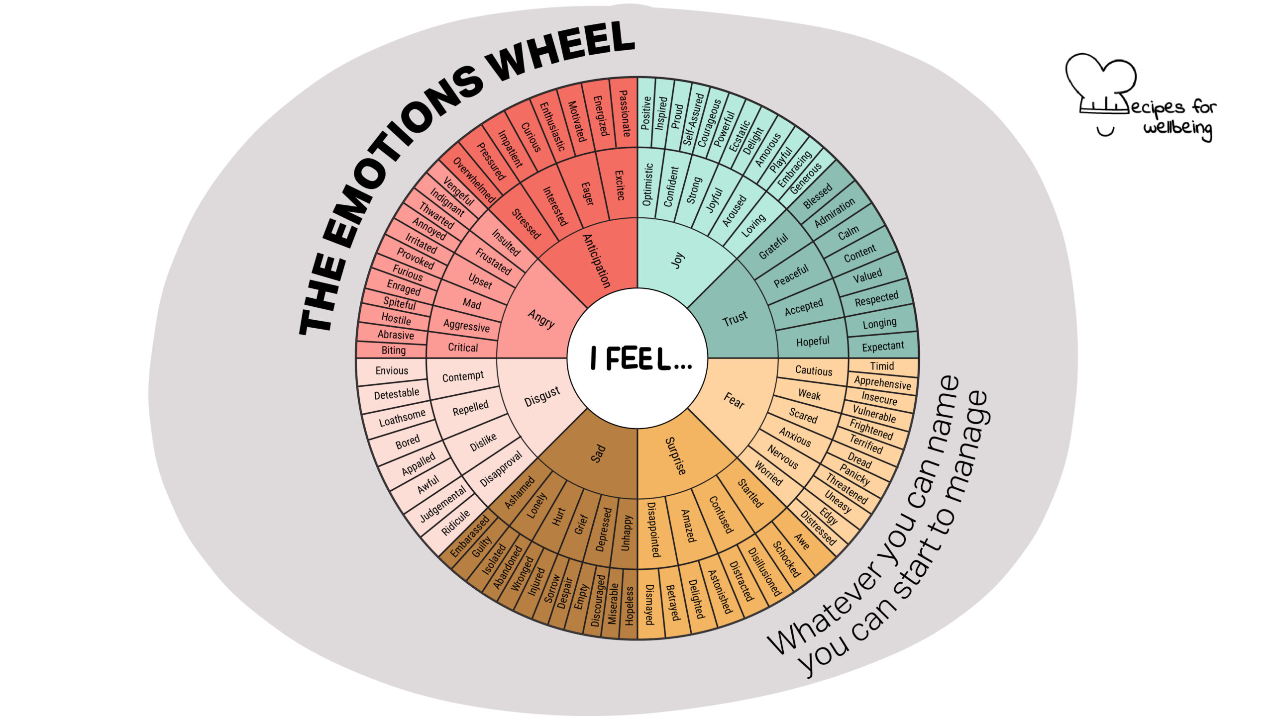 Illustration of the wheel of emotions and feelings with primary emotions and subtle emotions/feelings. © Recipes for Wellbeing