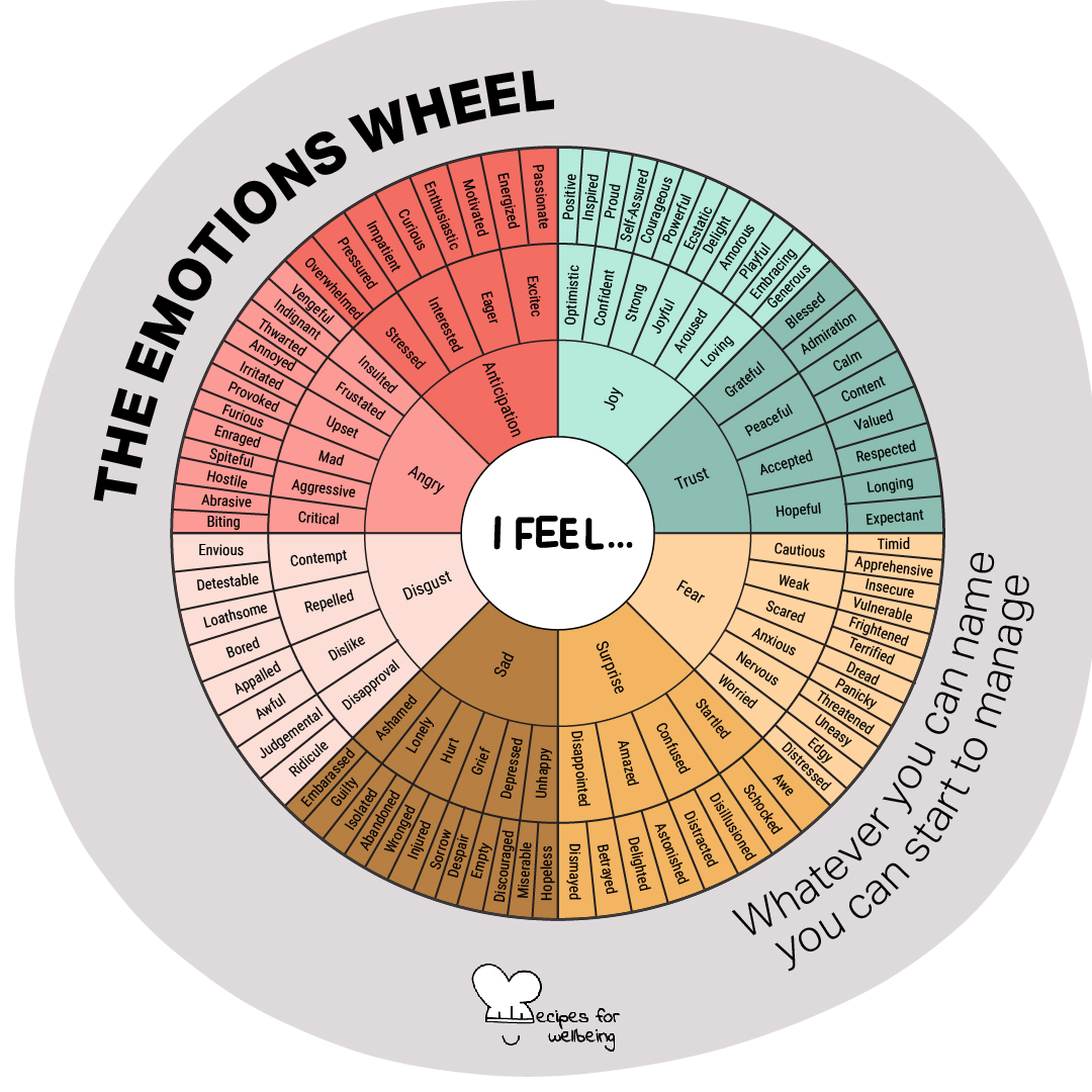 Illustration of the wheel of emotions and feelings with primary emotions and subtle emotions/feelings. © Recipes for Wellbeing